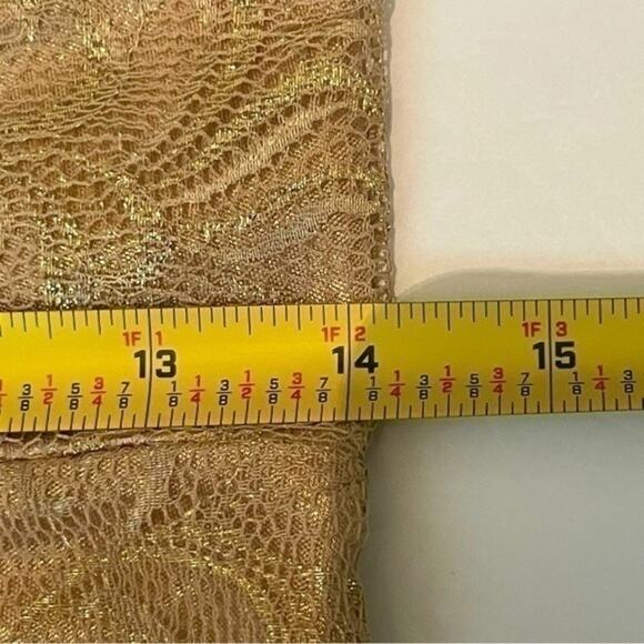 BCBGMaxAzria Sheer Gold Lace BodyCon Party Event Dress NWOT Size 4 - Picture 13 of 14